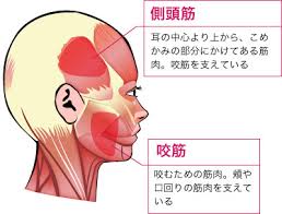 インディバ 広尾